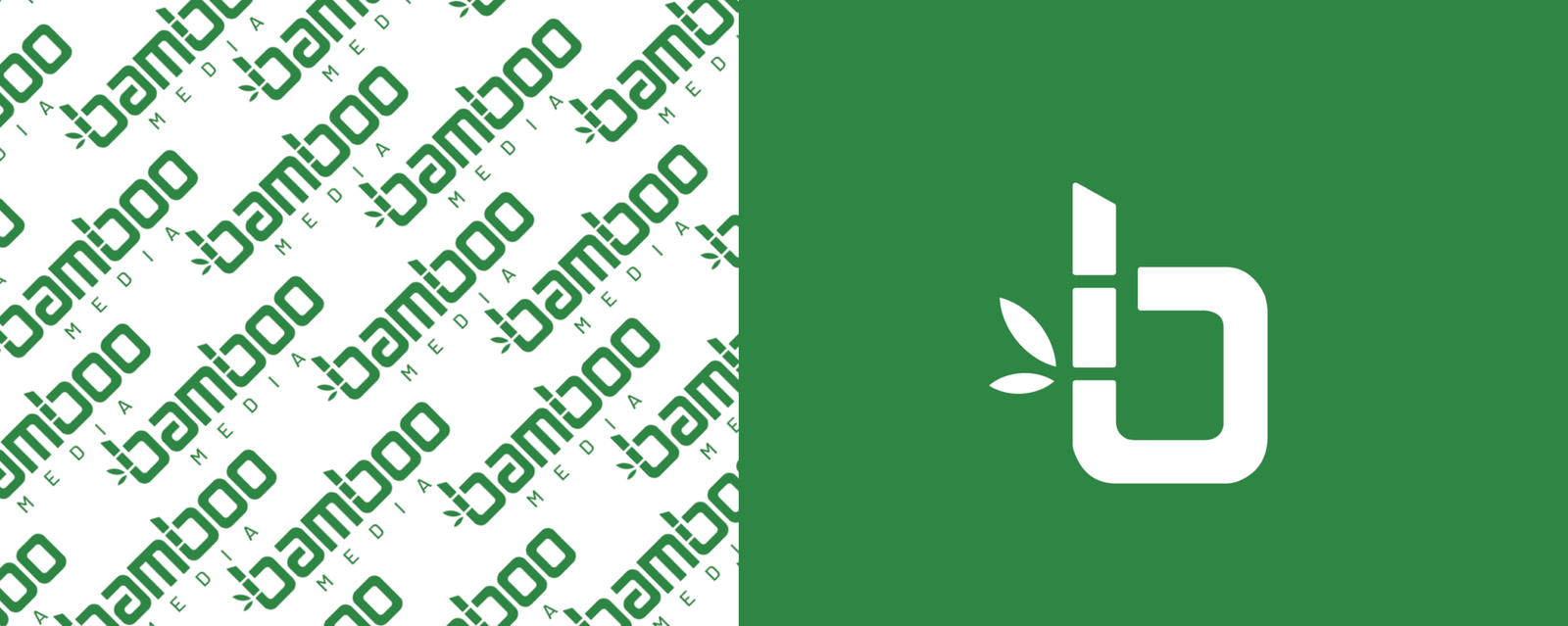 Bamboo