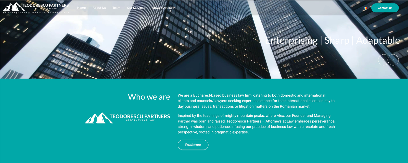 Teodorescu Partners